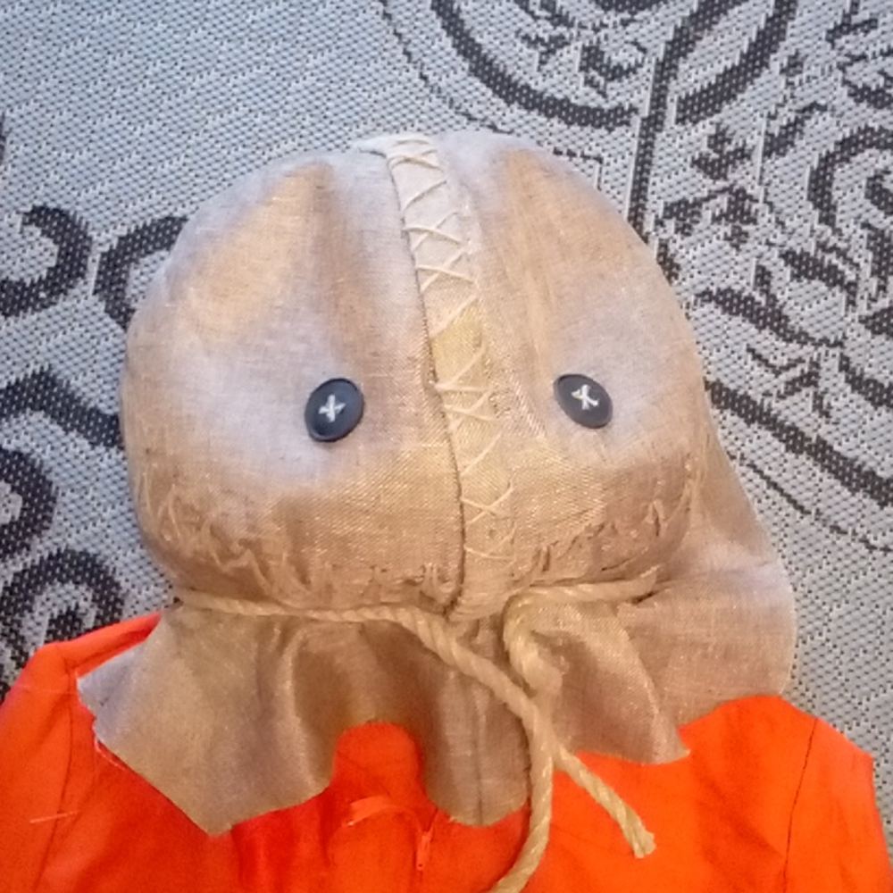 Trick or treat mask and costume